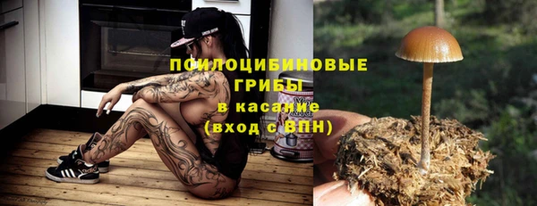 a pvp Абдулино
