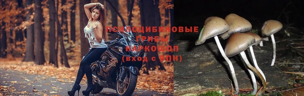 марихуана Алексин